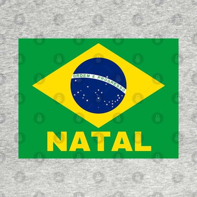 Natal City in Brazilian Flag by aybe7elf